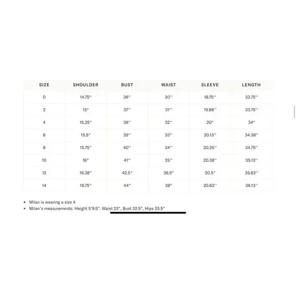 TUCKERNUCK Citron and Slate Blue Embroidered Long Sleeve Rhoda Tunic Dress 14NWT - Picture 3 of 6